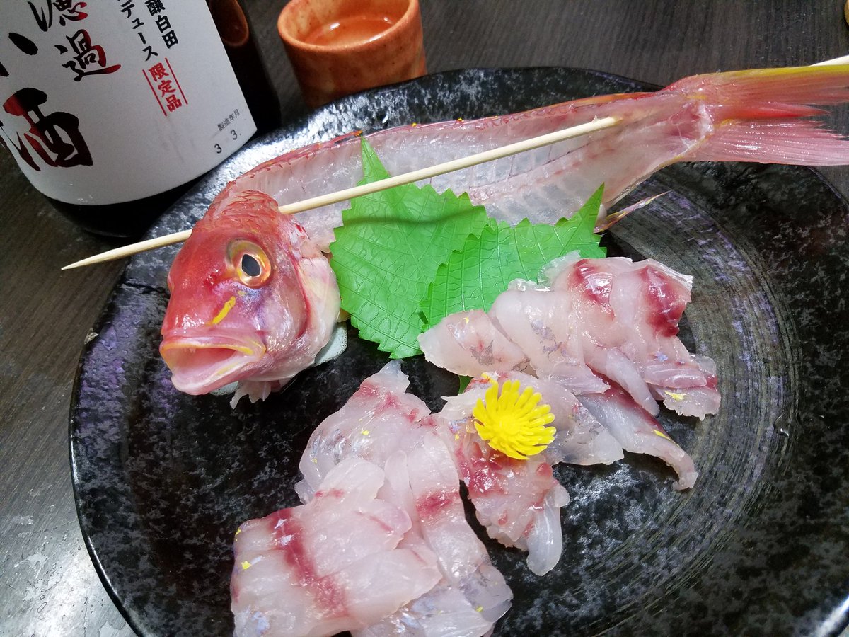 イトヨリ イトヨリ