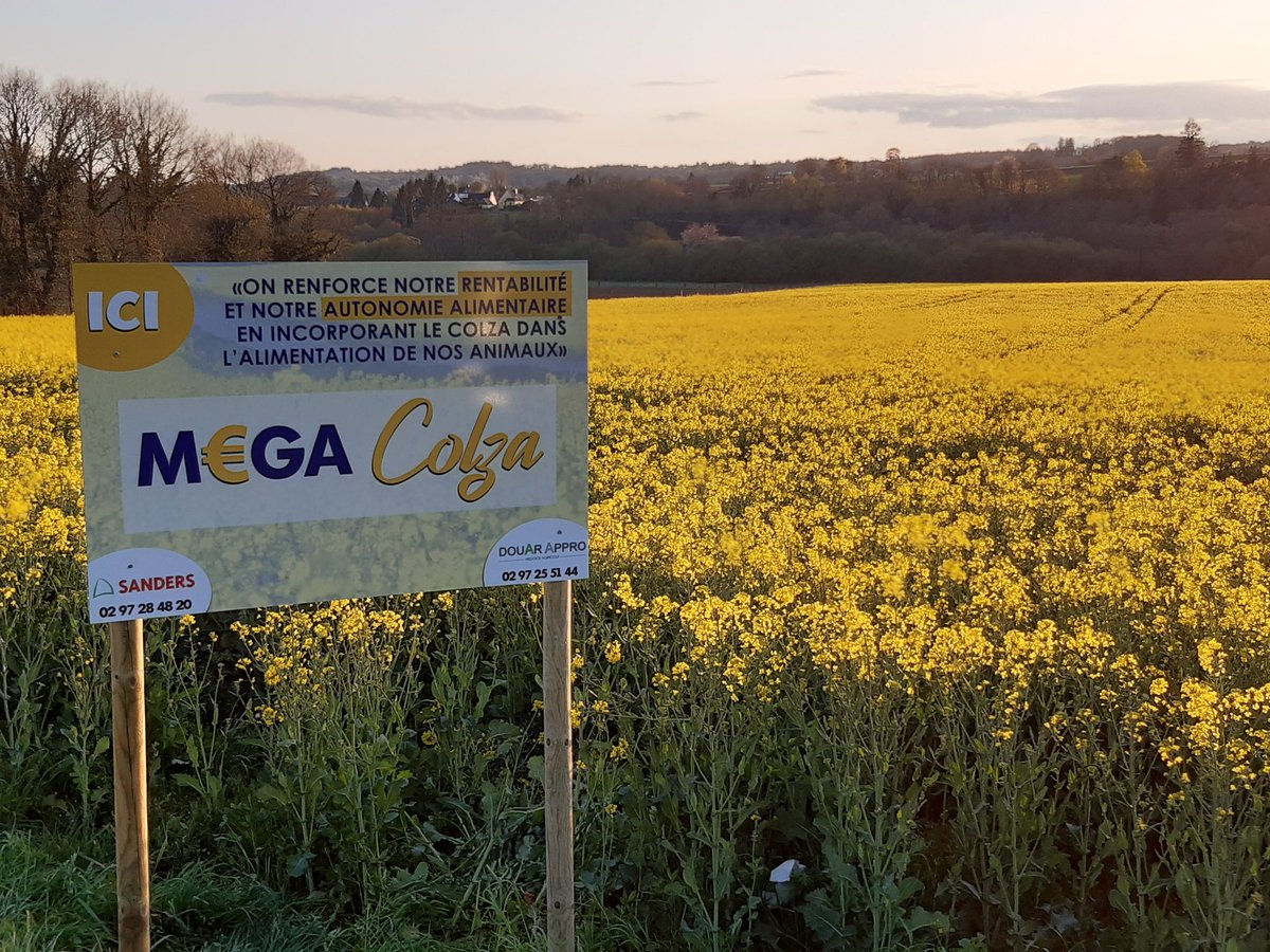 DOUAR APPRO tweet media