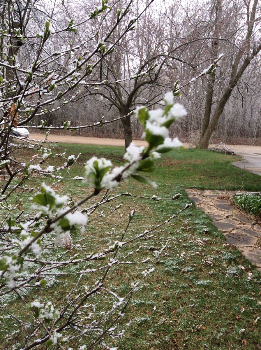 JillCalmes's tweet photo. It is currently snowing. Snow is freezing cold. I hope this is the last snowfall of the year. I wish someone would give me a scientific reason why snow is white. Does anyone know why snow is white? https://t.co/twxg1AdDu4