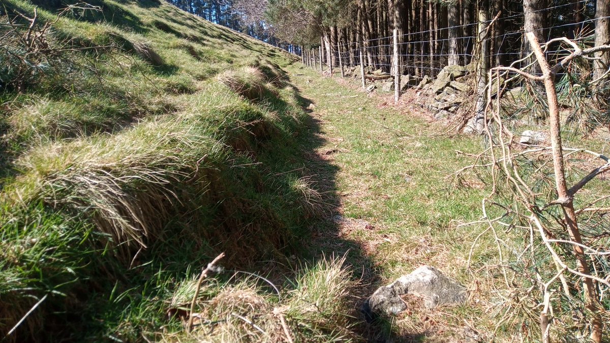 MoorlandMonitor's tweet photo. 🚩 Snare line Moscar Estate Grainfoot Clough #Ladybower #peakdistrict 

❌ Snares loops left in place unset and unchecked

❌ Animals can still die in these traps

❌ Breach of snaring Code

#bansnares https://t.co/D3KGoPNNIm https://t.co/joIf2FMTeW