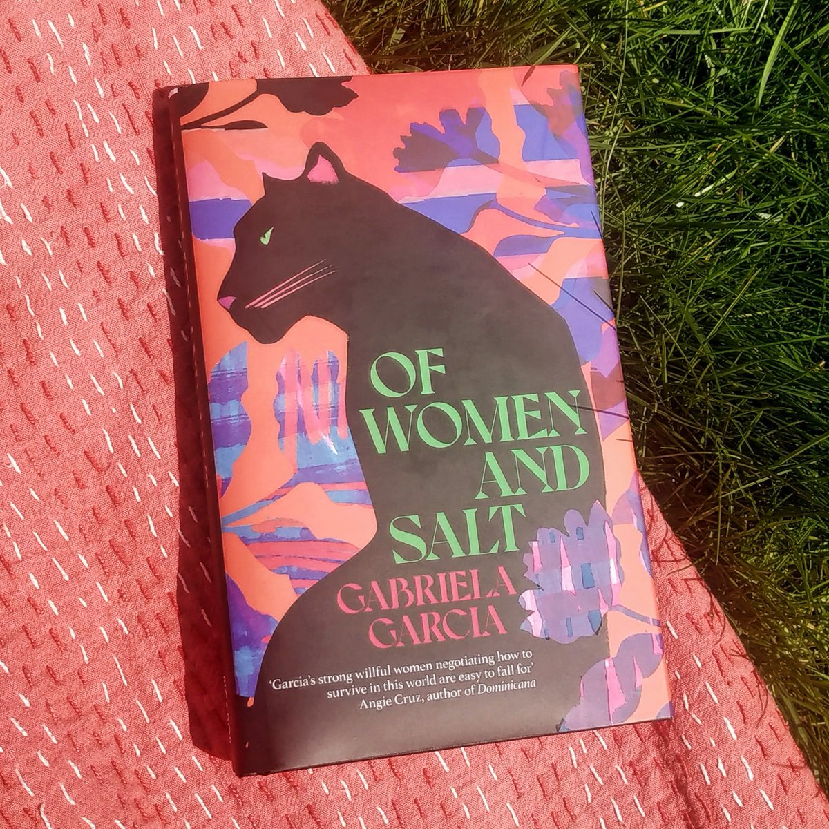 fmarshallpayne's tweet photo. .@GabiMGarcia's gut-wrenching debut, an instant US bestseller, is out in the UK tomorrow. It weaves a mesh of commonalities between Latinx women as they navigate various forms of home, belonging and exclusion - but focuses on ambivalence and gaps, resisting simple narratives https://t.co/29P8z9blhp