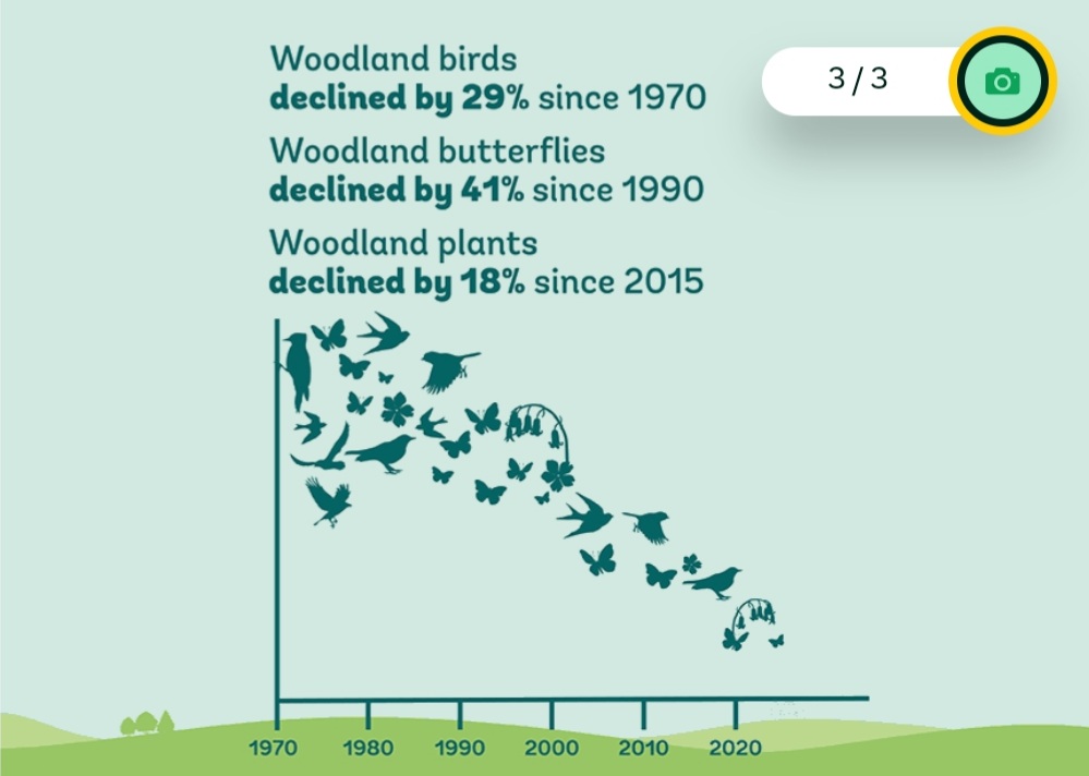 Urgent & decisive actions needed to reverse shocking declines in #woodland #biodiversity 🌳 We need more & better managed native woodlands - Report by the @WoodlandTrust on the #StateOfWoodsAndTrees 👉 woodlandtrust.org.uk/state-of-uk-wo…