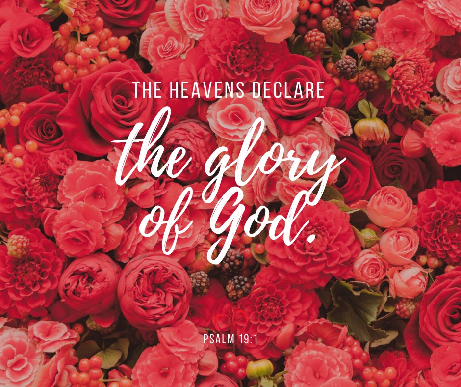 fbwinchesterky's tweet photo. #ScriptureOfTheDay
#FBCWin
#FBCTogether https://t.co/Py3mTcEAgM