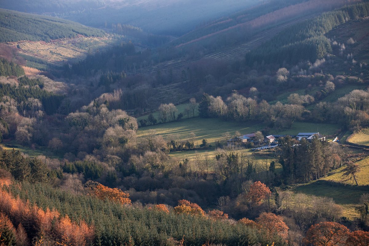 tourism_laois's tweet image. Fionn MacCamhaill spent his childhood exploring these mountains and now we can get back up there and explore too. There are so many lovely spots to visit, so if a carpark is full, drive on to the next spot. Nowhere will disappoint you in the Slieve Blooms.
#yourewelcomerolaois