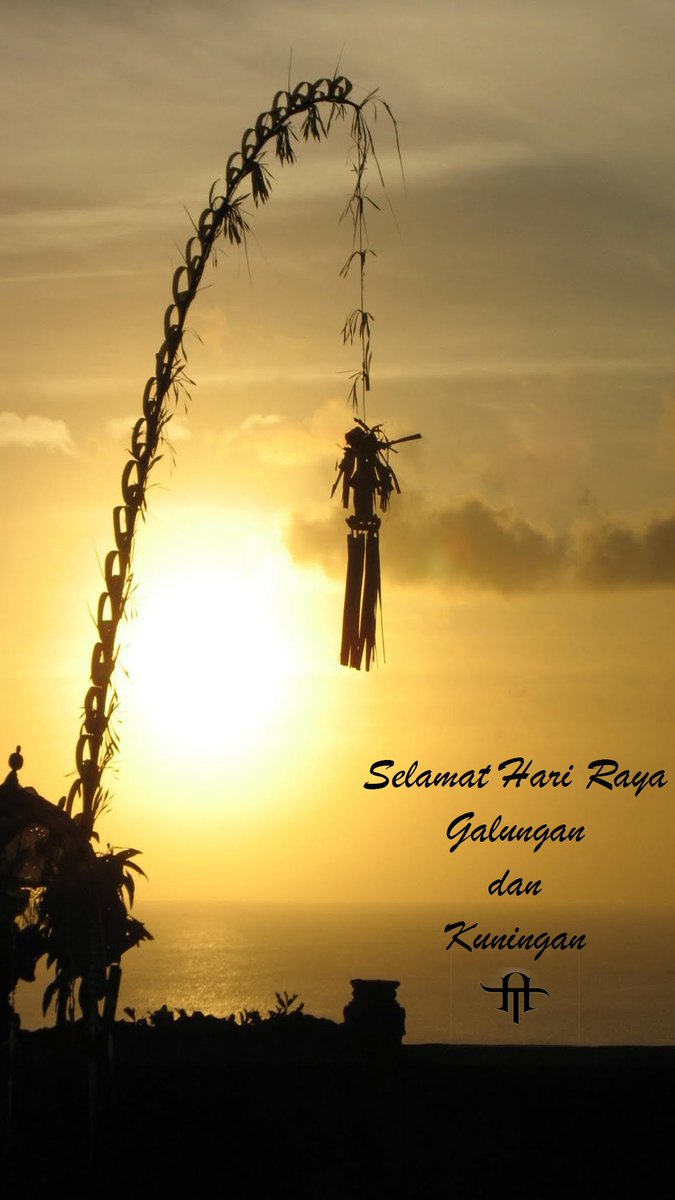 More Than Hellena tweet media