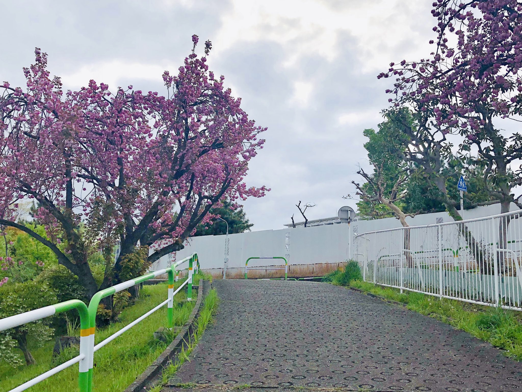 東京北区観光協会 ー PR Station в X: „【東京北区のエレカシ