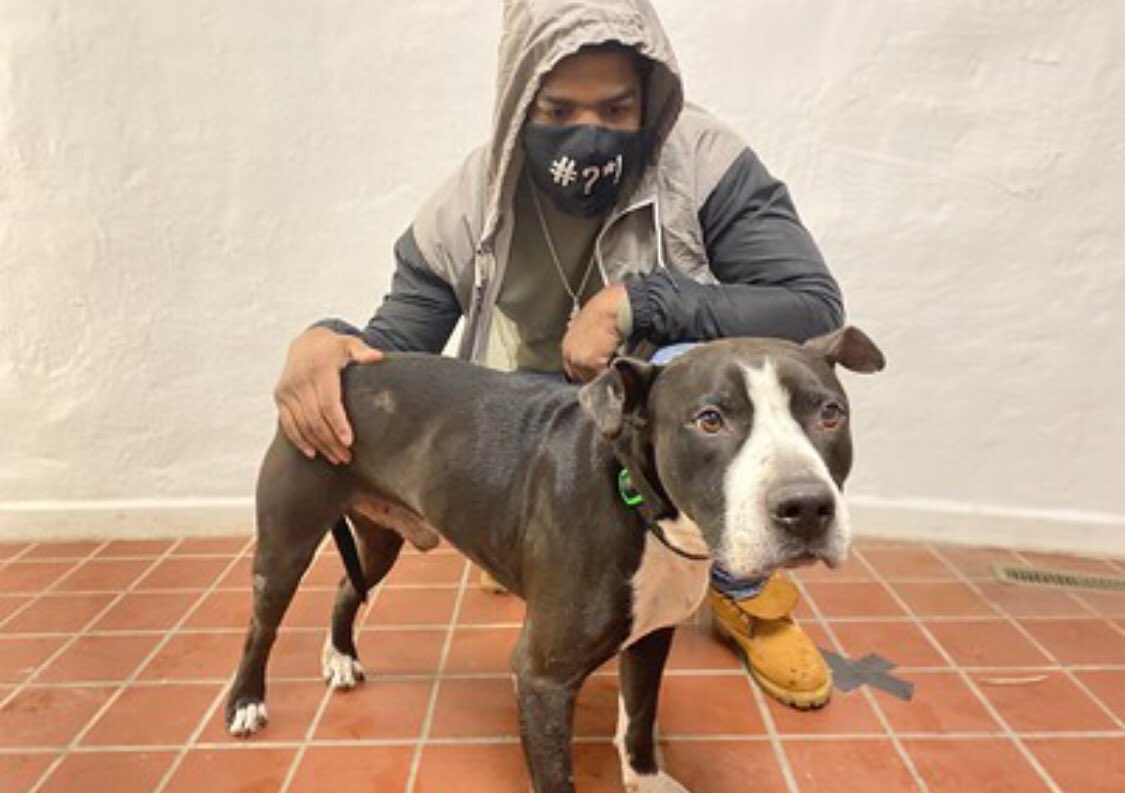 Joey is looking for his #ForeverFamily!

Originally from <a href="/ACCTPhilly/">ACCT Philly</a>, Joey has done incredibly well in our training program and is ready to meet his perfect match.

Interested? Check him out on <a href="/petfinder/">Petfinder</a>:

petfinder.com/dog/joey-sugs-…