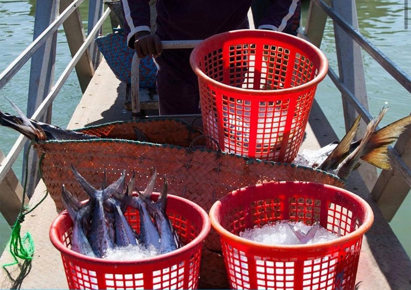 kuwaittimesnews's tweet photo. Licenses to fish in Kuwait Bay https://t.co/FGcTjuiJBq via @kuwaittimesnews 
#KuwaitBay #Fish #KuwaitEPA #KuwaitTimes #KuwaitNews #Kuwait #Covid19 https://t.co/wUpuv5elhc