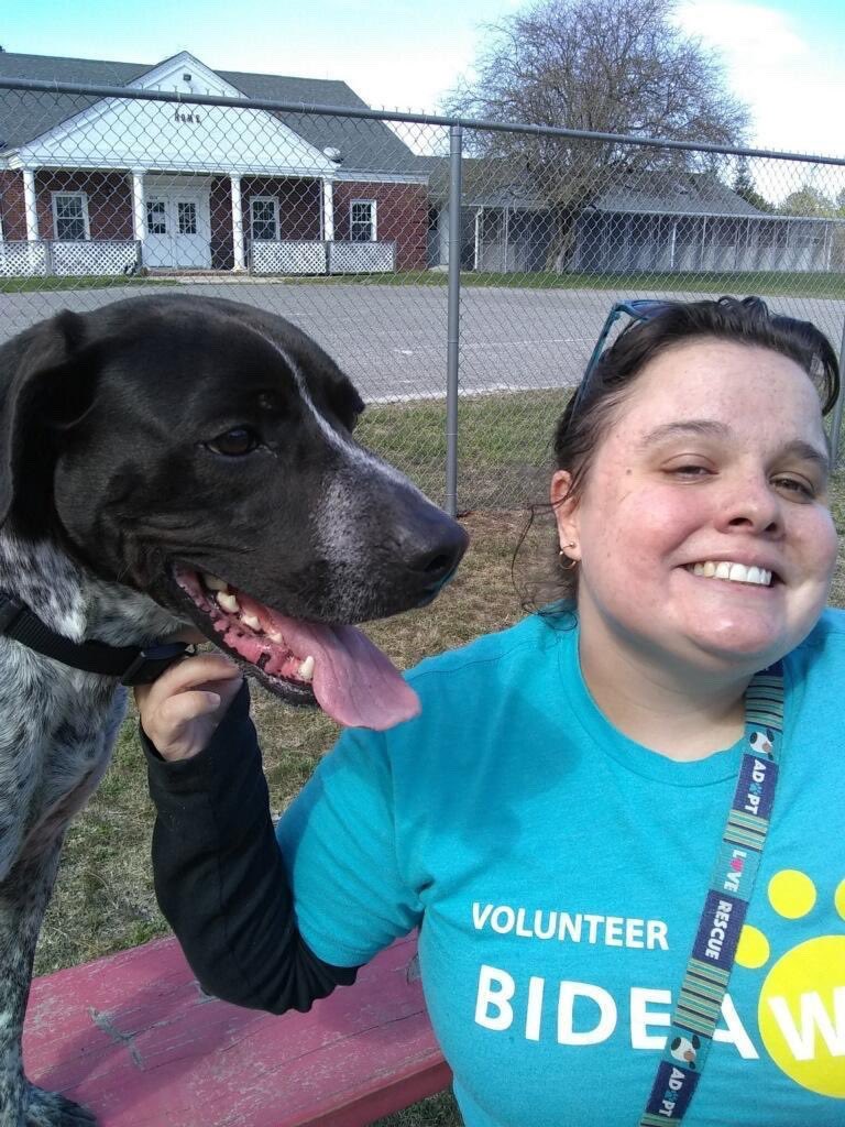 Bideawee's tweet photo. How has this sweet boy not been scooped up yet? Rowdy is a sweet, playful four-year-old boy who loves everyone he meets & is looking for a loving home at our Westhampton location. ❤️Apply online https://t.co/u0Uihc4ASU https://t.co/1wxmjaNa0R
