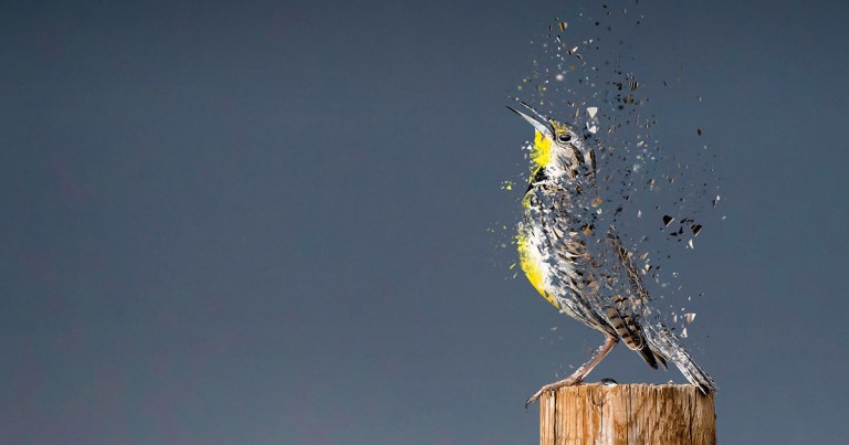 turtleback78's tweet image. 