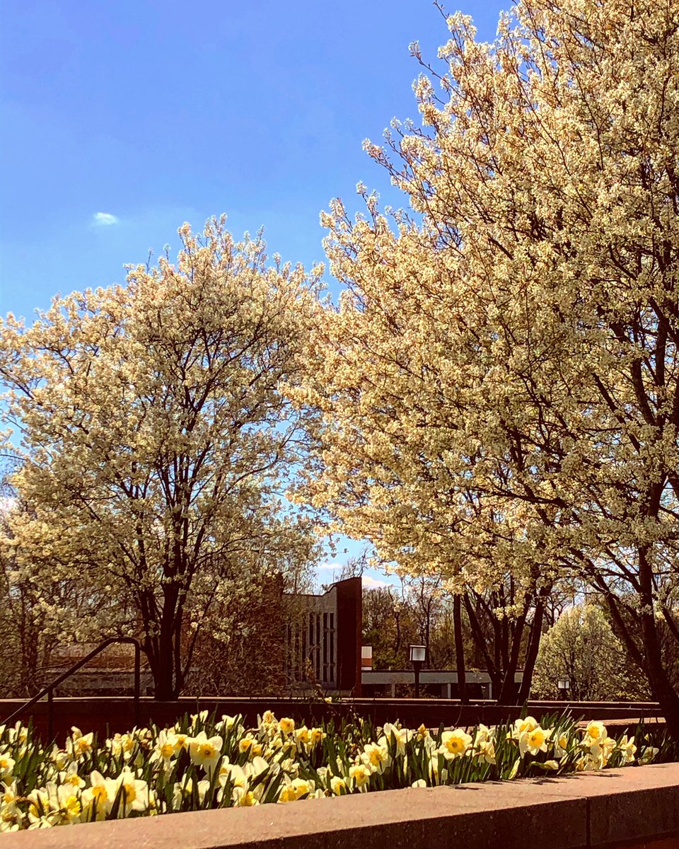 Christ College tweet media