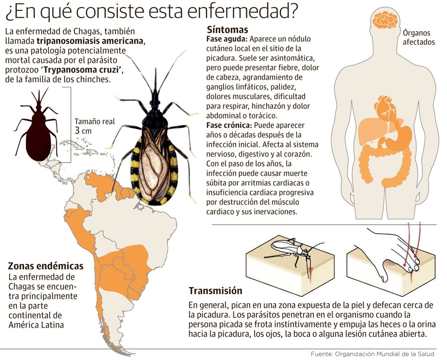 Síntomas de una subida de azúcar