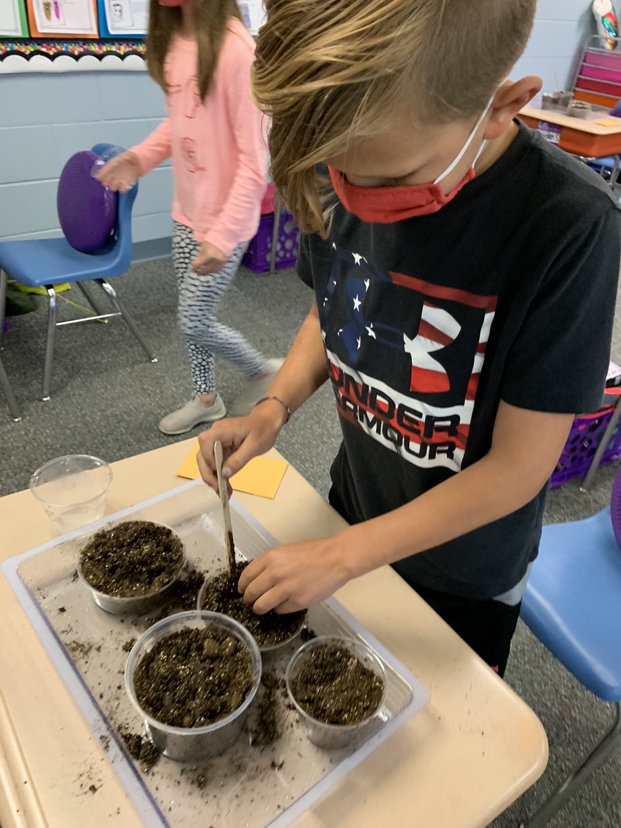 cappy812's tweet photo. Feels like spring in room 202! Studying plant &amp; animal life cycles gives us opportunities to make cool observations. We have 2 visiting crayfish &amp; our seeds from @HilltopIU garden have sprouted. We ❤️ science! @BinfordBadgers @FOSSscience @MCCSC_EDU @RogBinPTO https://t.co/b2mPUpjOTL