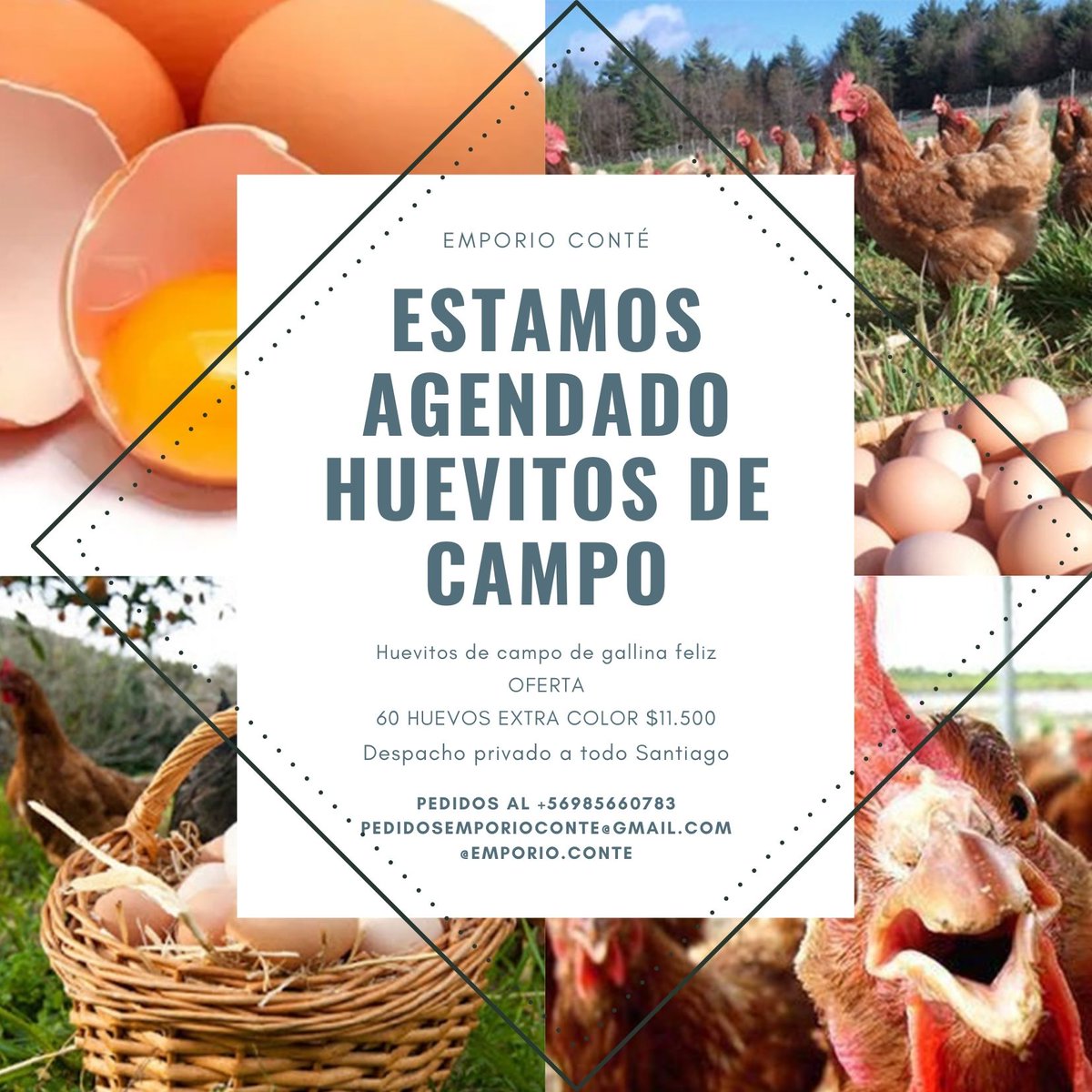 xRADAGASTx's tweet photo. Queridos amigos twitteros necesitamos de su apoyo 🤞 nos regalan un RT a esta familia emprendedora 🤗 @ccarvajaly @Naty_Patriota @Verovelasco @realHenryBoys @ClauDePizan @camilaemiliasv @sergioulloa1 @Girealaderecha @sebaeyzaguirre7 @FridaSiKahlo @JoseMagdalena_R https://t.co/ulYWom7oAv