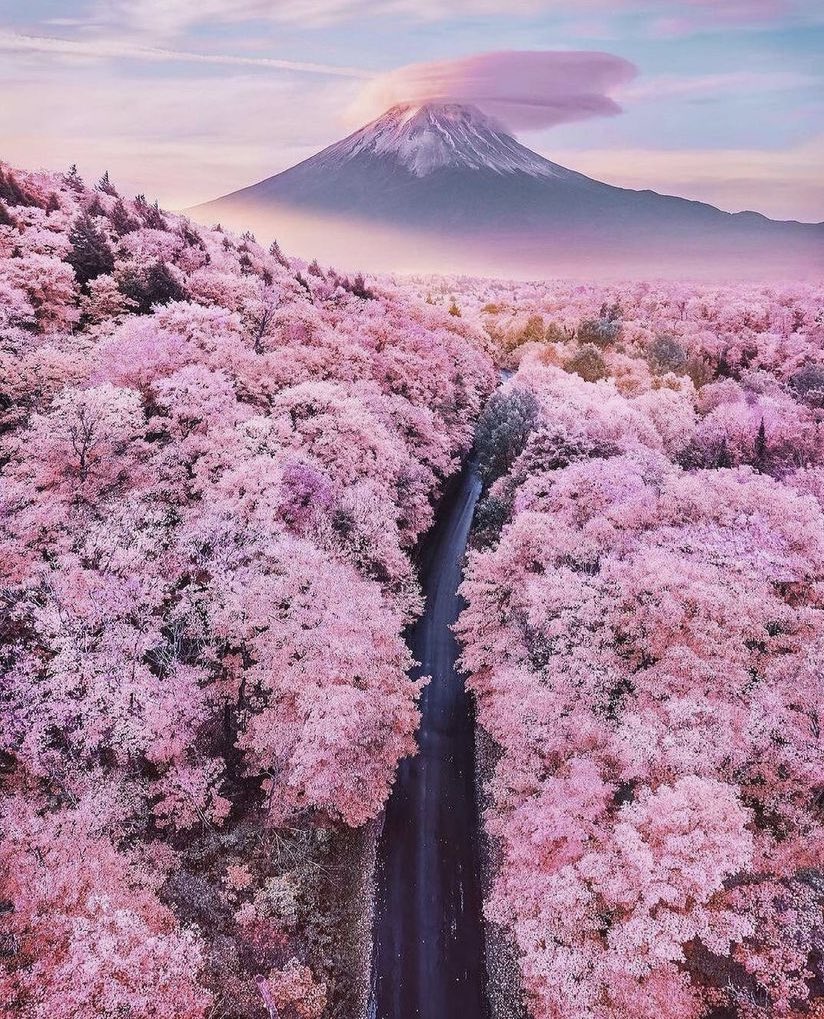 ScribeFlash's tweet photo. Mont Fuji, Japon 🇯🇵 https://t.co/cjzYg1QLR3