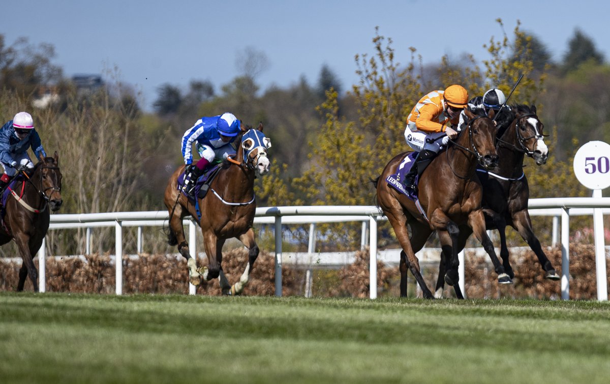 REDMILLSHorse's tweet photo. What a super afternoon for @JosephOBrien2 @LeopardstownRC landing an impressive treble, congrats to all the team🐴🐴🐴
🏆Larado
🏆Southern Lights
🏆Dancing Approach

#FeedYourDesireToWin #HorseCare 

@bpowell13 @kevinblake2011 https://t.co/0Ux7oUMj7p