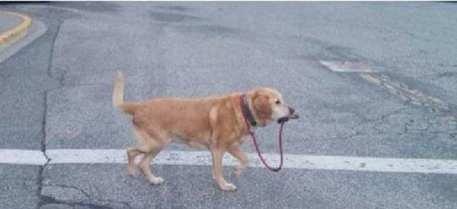 Junior developer in startup company.😂