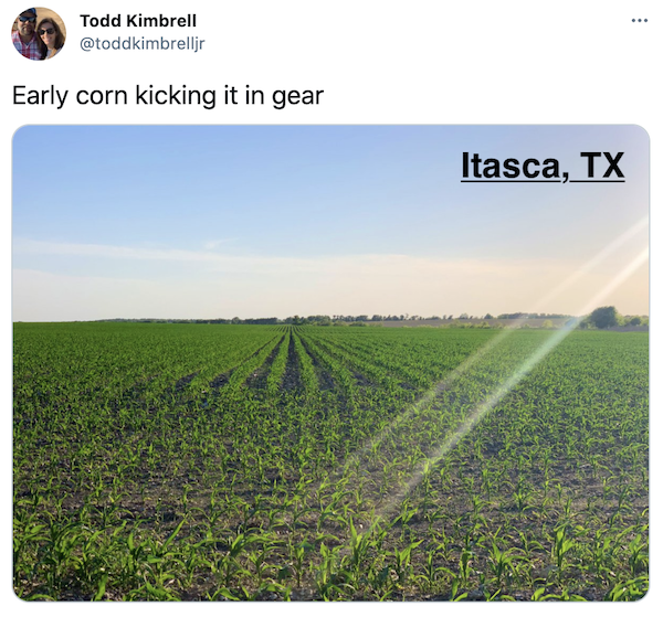 FarmTank's tweet photo. FarmTank Tweet of the Day!

Congrats to @kowalchukfarms1 @toddkimbrelljr @lesleyraekelly and @TxxsBeaut for being featured in @KevinVanTrump report! 

#FarmTank #FarmTankFriday #VTR #Corn #Agriculture #Soybean #AgTwitter #wheat #plant21 @JVTknows https://t.co/Wix0MxGJbz