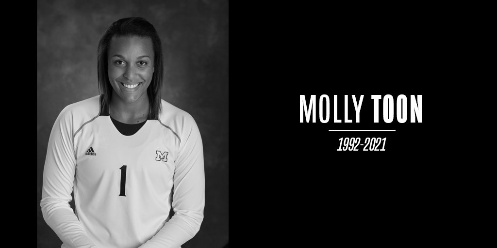 Michigan Volleyball tweet media