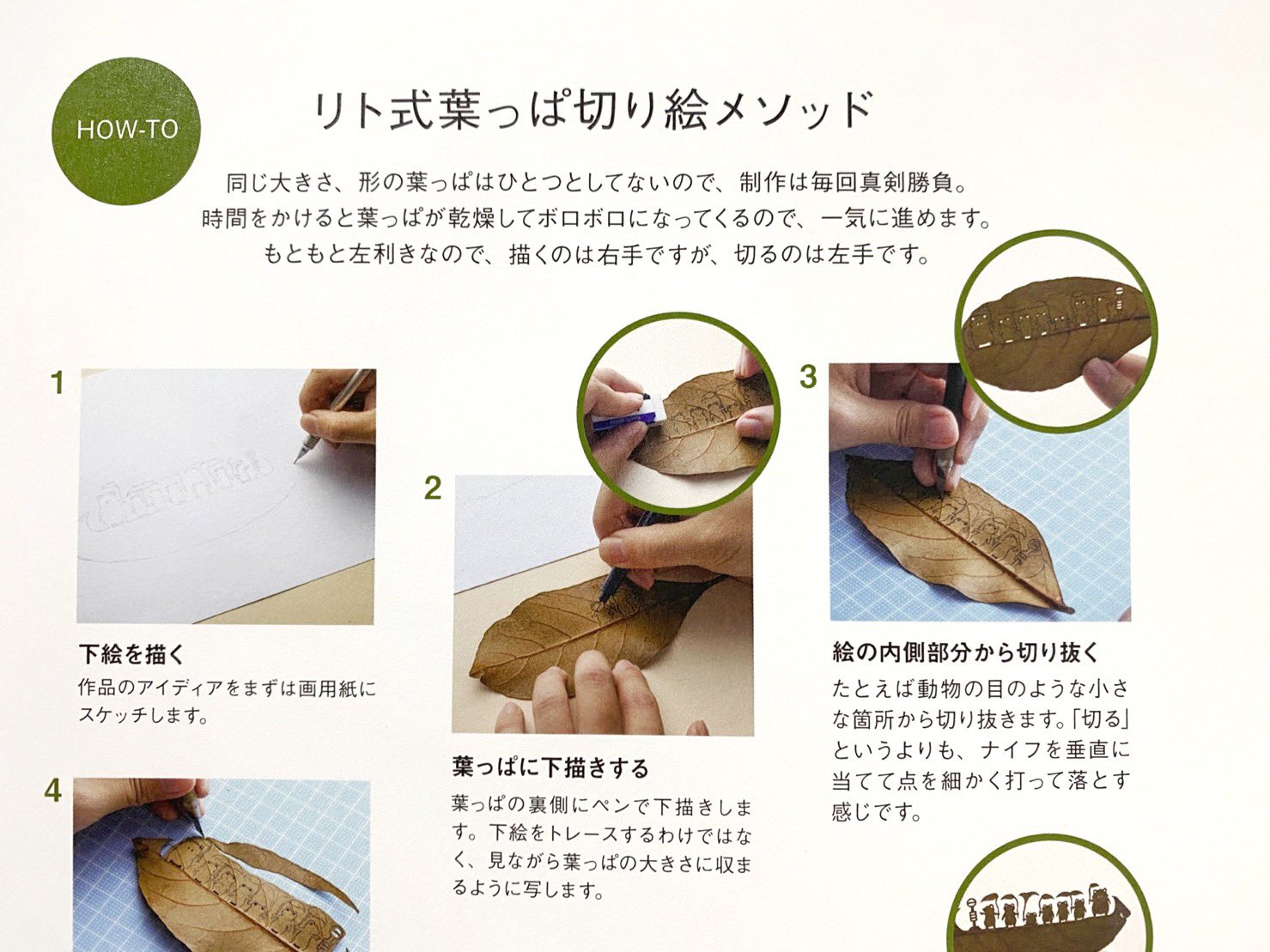 リト 葉っぱ切り絵 来月発売の作品集の一部を少し 約80作品の収録に加えて Q Amp Aコーナーや葉っぱ切り絵の作り方なんかも掲載させていただいてます 枯れない葉っぱの加工なんかはすごく簡単に出来るので 興味があったらぜひ制作にチャレンジして
