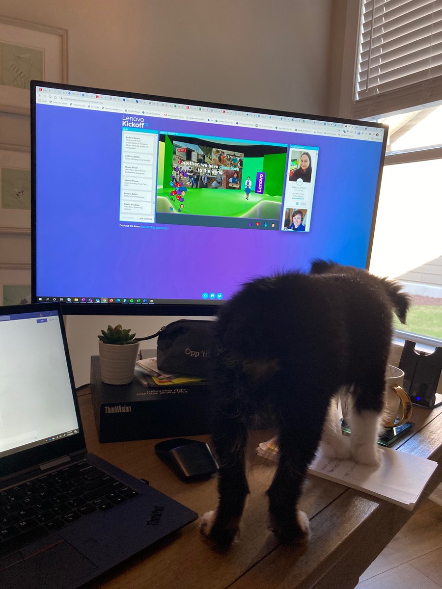 Susan Lowerre tweet media