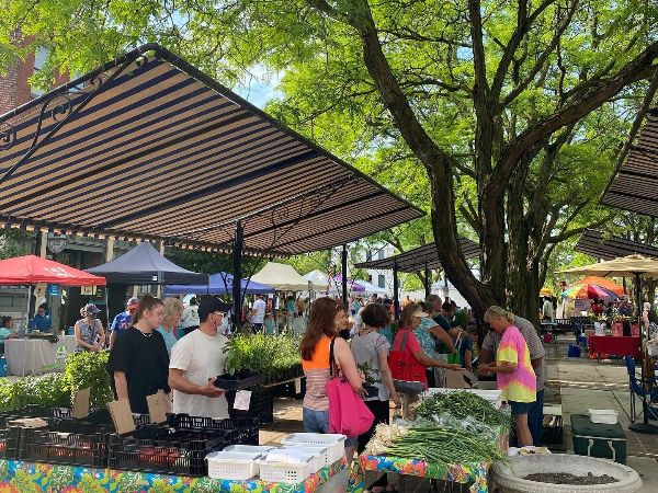 Newsletter: YLNI Farmers Market moves to Barr St on May 1 - mailchi.mp/ylni/ylni-news…
