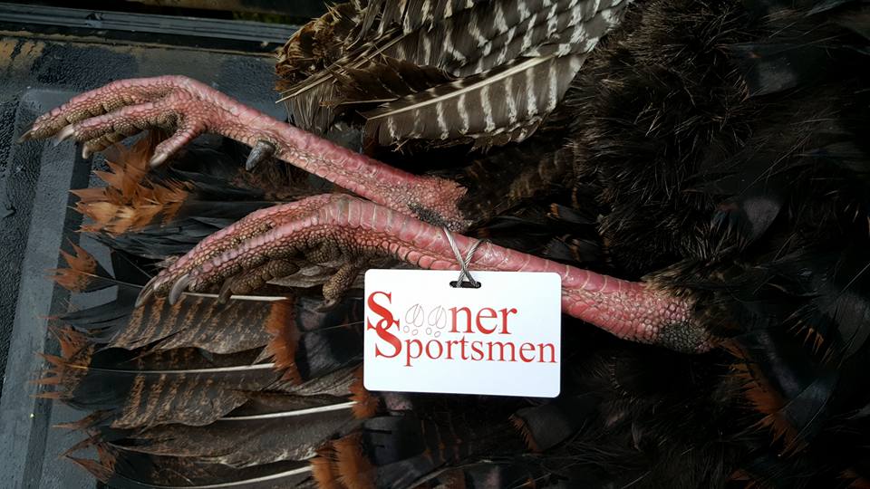 CarcassTag's tweet photo. Custom Hunting tags Deer, Turkey, Elk Etc.. https://t.co/27LS5RZq0E #huntingtag #oklahomahuntingtag #oregonhuntingtag #Turkeytag https://t.co/MC92duGKbk