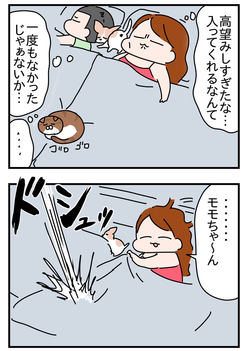 姉の家のモモのソーシャルディスタンス
https://t.co/QbRgGnWDFY 