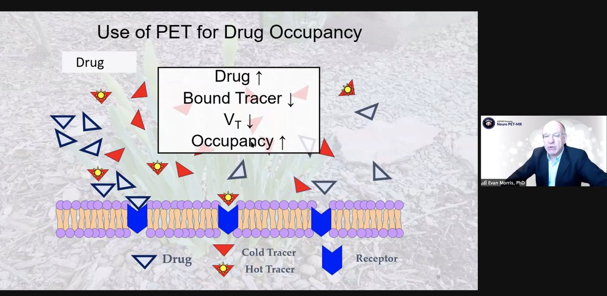 theASFNR's tweet photo. Utilizing PET to assess drug affinity at specific sites in the brain on a voxel-by-voxel level.
#ASFNRPresents #NeuroRad #PET #PET_MR https://t.co/3joxnvCFGw