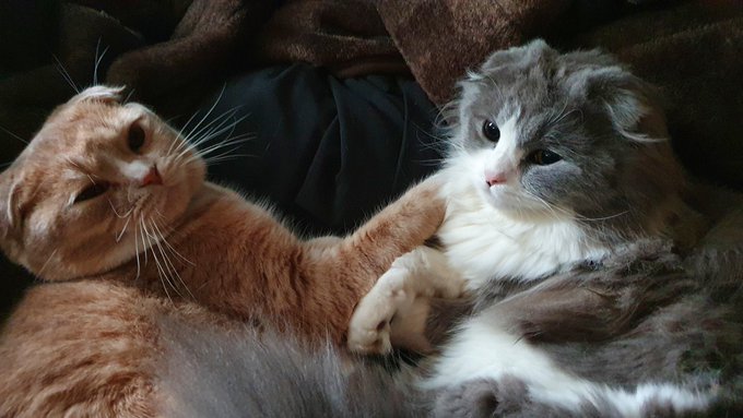 センシティブを薄めなきゃ 