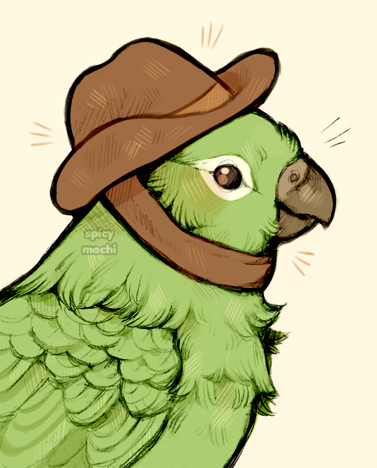 spicy_mochi's tweet image. cowboy bird
