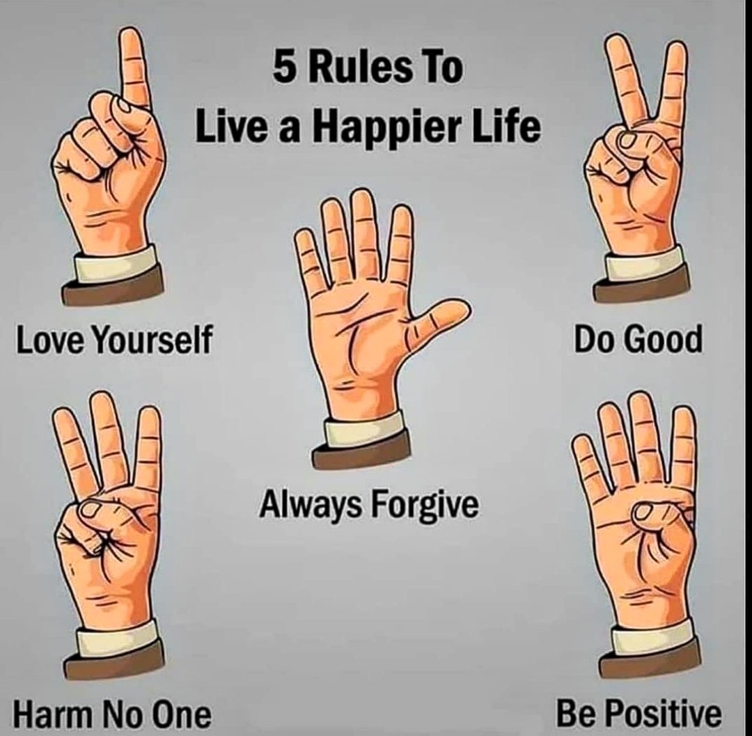 MedicohubworldW's tweet photo. 5 Rules To Live A Happier Life 😊❤️🤩
Follow Us @MedicohubworldW
#quote #motivation #life #MedTwitter #Doctor #MAFS #MIvRCB #follow QueenVGxSaridon FB LIVE #followback #FolloForFolloBack #ล้านห้าแสนแทนใจให้บีบุ๋น #U2TheVirtualRoad #ThisIsUs #twitchaffiliate #firstanuwat #FF https://t.co/kLrf6v7dce