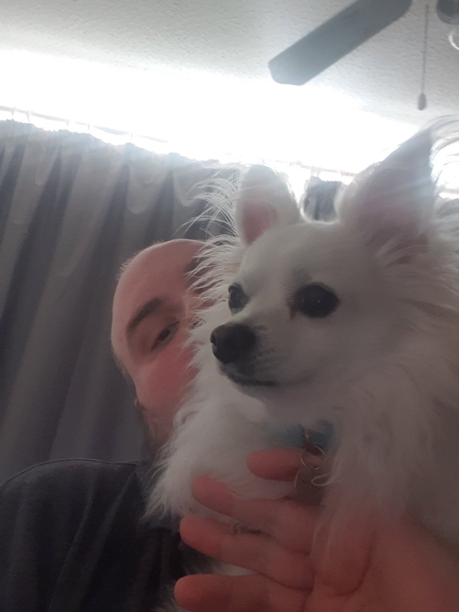 I've been working on a film idea of late. Its just called...

Giant Chihuahua vs Giant Cat

This is just some test photos before we begin filming the trailer.