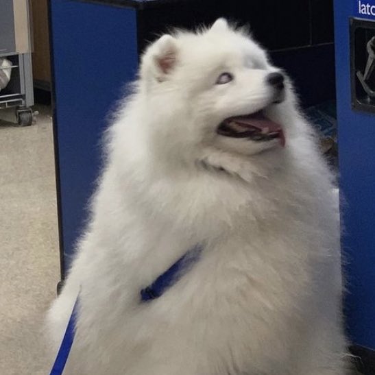 honeyminaa's tweet image. กุชอบน้องมาก อะไรไม่รุแต่ดูมีพิรุด เลิ่กลั่กบอย