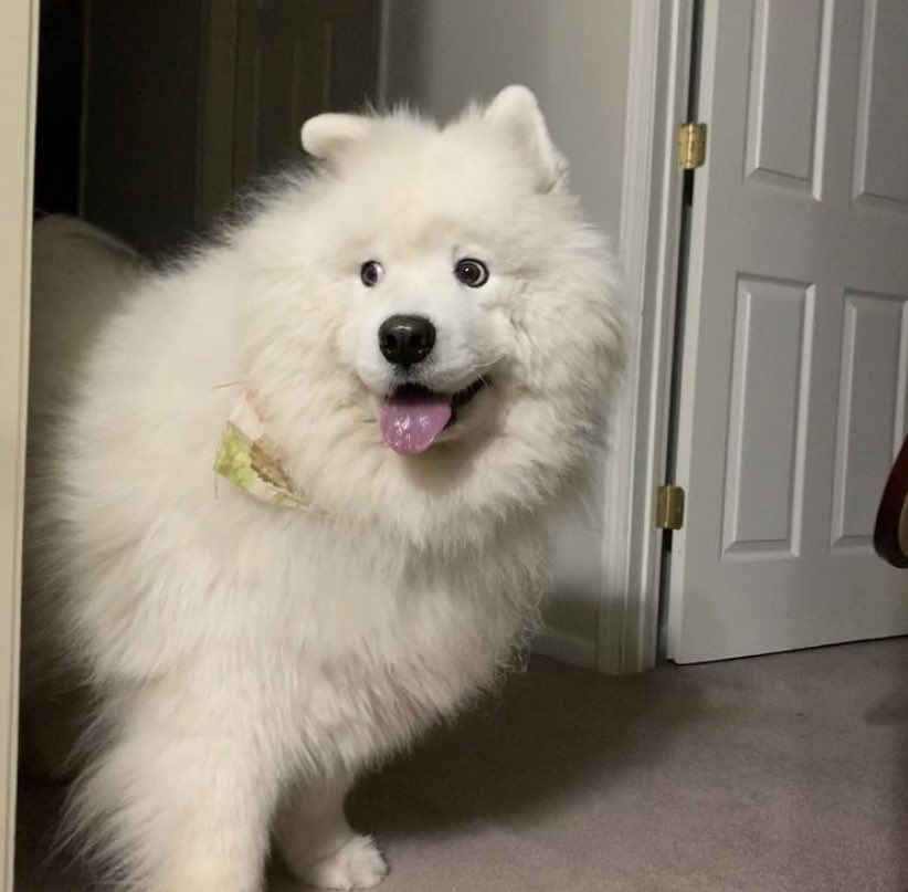 honeyminaa's tweet image. กุชอบน้องมาก อะไรไม่รุแต่ดูมีพิรุด เลิ่กลั่กบอย