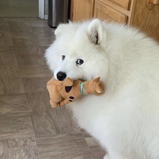 honeyminaa's tweet image. กุชอบน้องมาก อะไรไม่รุแต่ดูมีพิรุด เลิ่กลั่กบอย