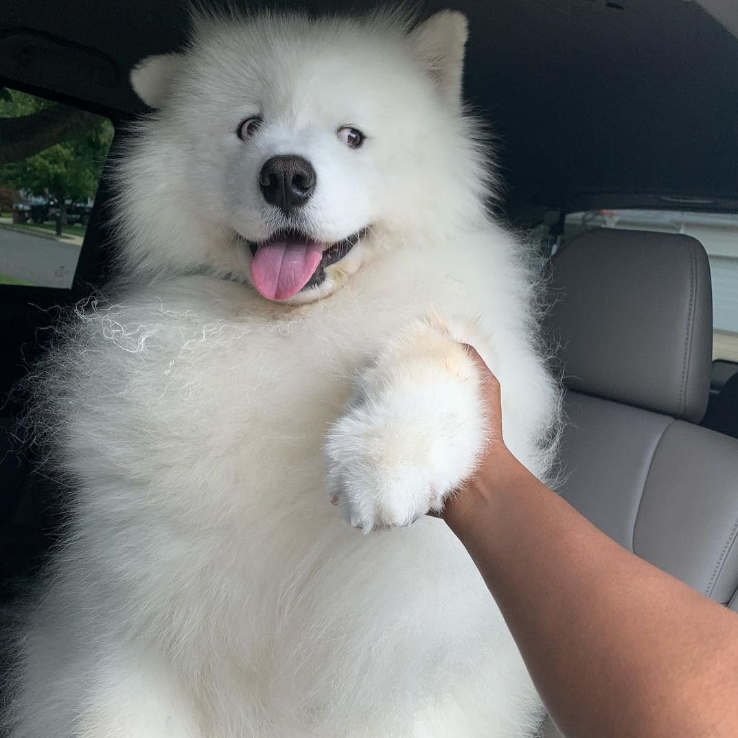 กุชอบน้องมาก อะไรไม่รุแต่ดูมีพิรุด เลิ่กลั่กบอย