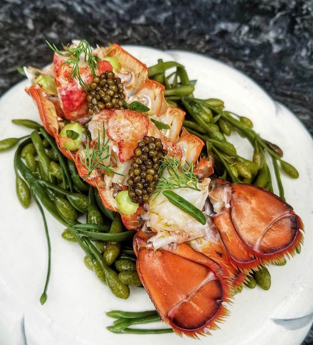 portochicago's tweet photo. Reason number 9,073,741 you should spend Sundays at Porto... LOBSTER SALPICÓN // Maine Lobster, Galician Seaweed, Roasted Lobster Olive Oil, Ramp Mayonnaise, &amp; Lemon. As @sguntly says, it’s perfection 🔥🦞

Book your reservation now at https://t.co/6U6moBQiUD. https://t.co/iUu5aASi17