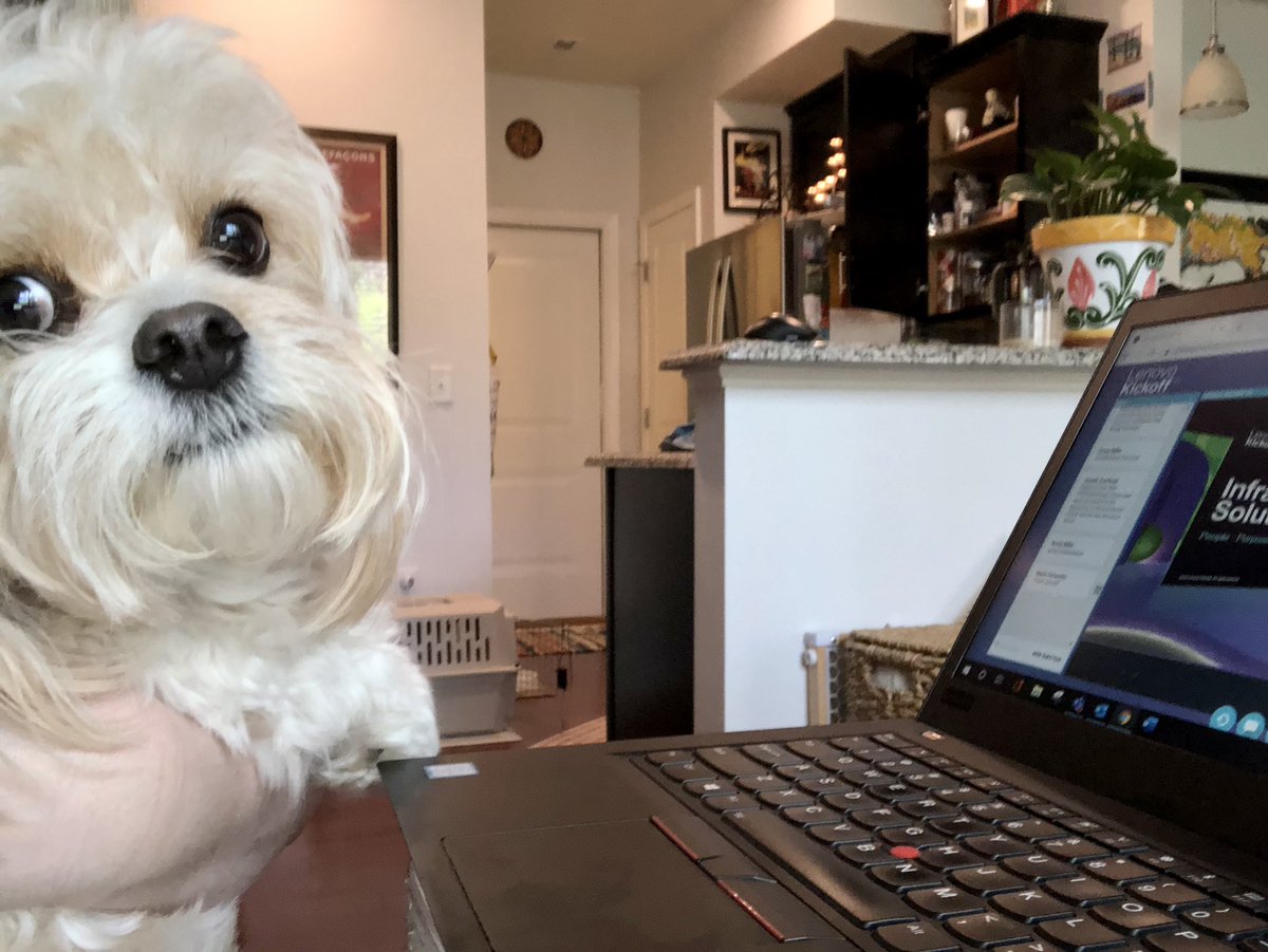 Lenovo puppers unite! 🐾 Lucy cheers for the culture champs. #LenovoKickOff #WeAreLenovo