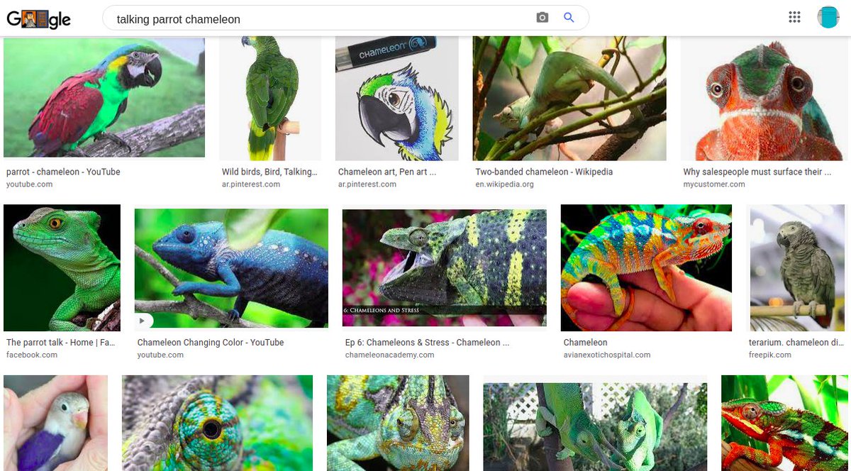 DoboDoshev's tweet photo. <> #TALKINGparrotSPEAKINGparrot
KOMANDER systems
UPDATING with TALKING PARROTS
SPEAKING PARROTS
KOMANDERS KAPTAINERS
********
#parrotKOMANDS
#PARROTkomanders
#voiceSHIFTINGsoundSHIFTING
********
#astarKOMANDS
#ASANDOSkomanders https://t.co/Q7Lsd4qkf4