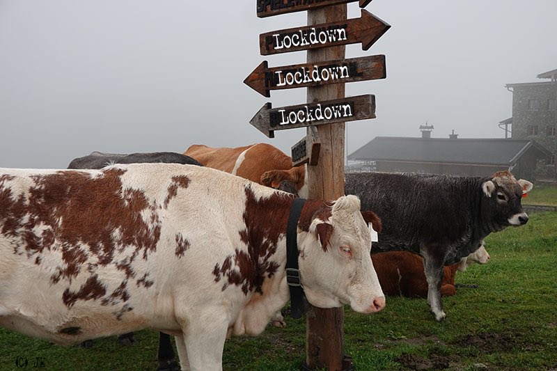 Entdeckt. Die #Bundesregierung  vor den #corona #pandemie Plan. #Lockdown