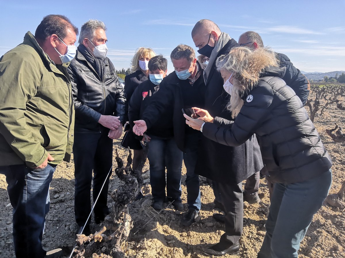 FDSEA26's tweet photo. Visite du préfet de la #Drôme aujourd'hui sur une parcelle viticole à #Tulette puis ensuite sur un champs d'abricotier à #Besignan. Il est venu apporter son soutien et écouter les #agriculteurs. Les pertes sont considérables et la détresse est bien réelle. https://t.co/RqzaPx7ZSj