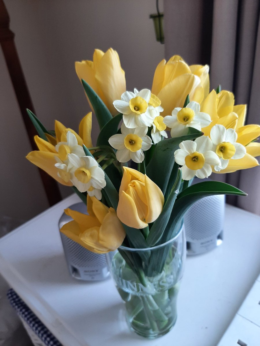 When life gives you lemons........ pick some tulips and daffs from the garden to cheer yourself up #CuttingFlowers