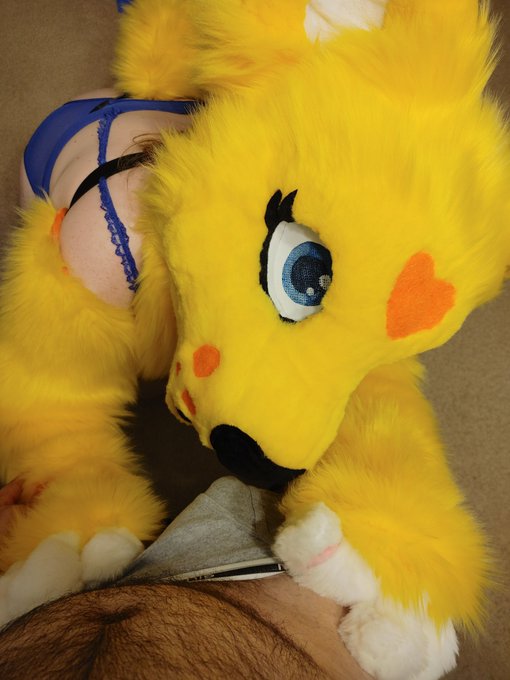 hmmm Looky what I found this morning.. I wonder what I should do with it? :3  onlyFans full vids coming<a href="/tag/lingerie"class="tags"><span>#lingerie</span></a><a href="/tag/furry"class="tags"><span>#furry</span></a><a href="/tag/yiff"class="tags"><span>#yiff</span></a><a href="/tag/fursuit"class="tags"><span>#fursuit</span></a><a href="/tag/fursuiter"class="tags"><span>#fursuiter</span></a><a href="/tag/furryfandom"class="tags"><span>#furryfandom</span></a>