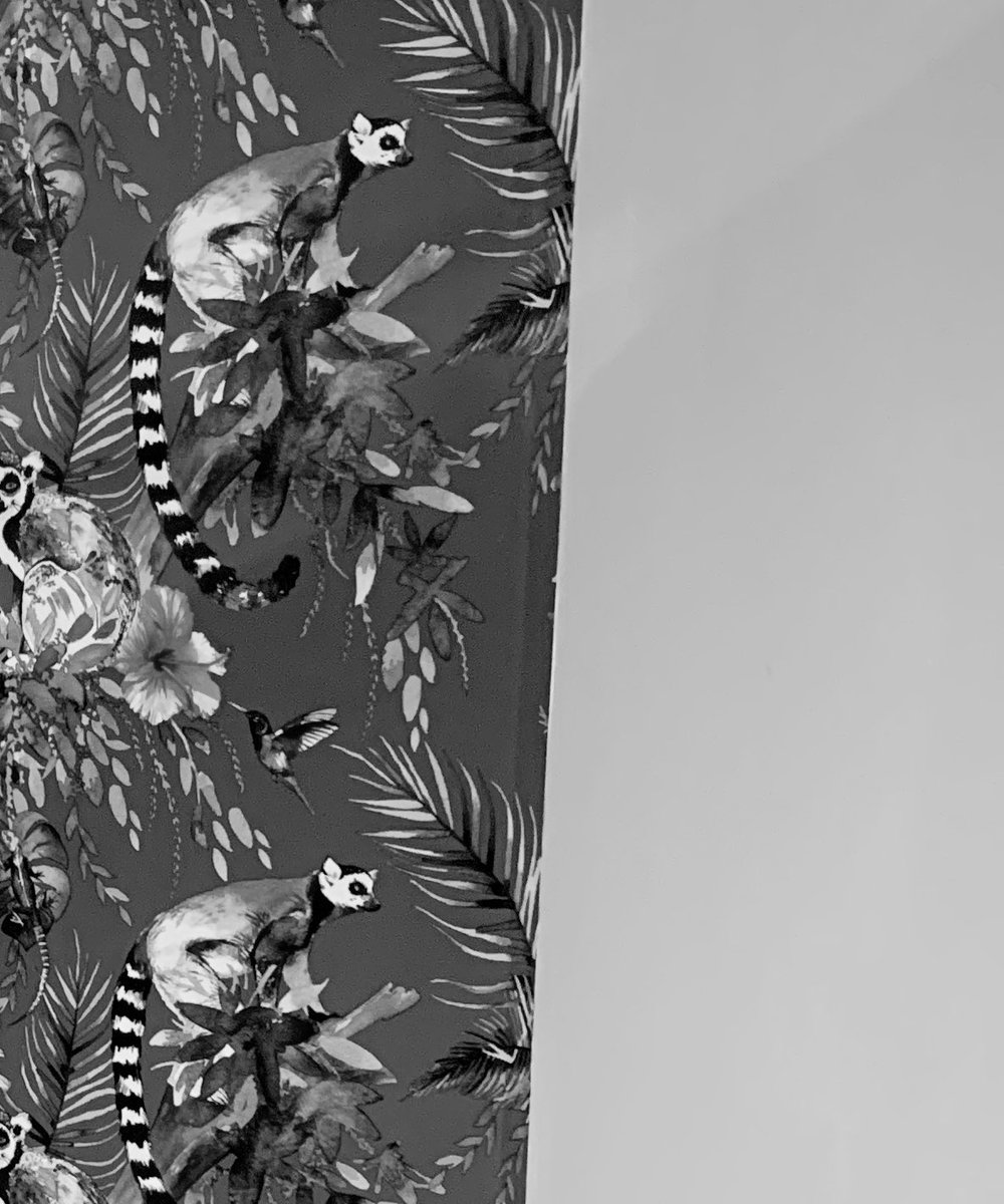 We’re having a refurb!....and this cheeky guy features quite heavily 💖
We cannot wait to see all our wonderful customers again soon..

Opening for takeaway/outside tables- May 1st and then for indoor dining on May 17th ☺️🙌🏻

#metrodeco #Brighton