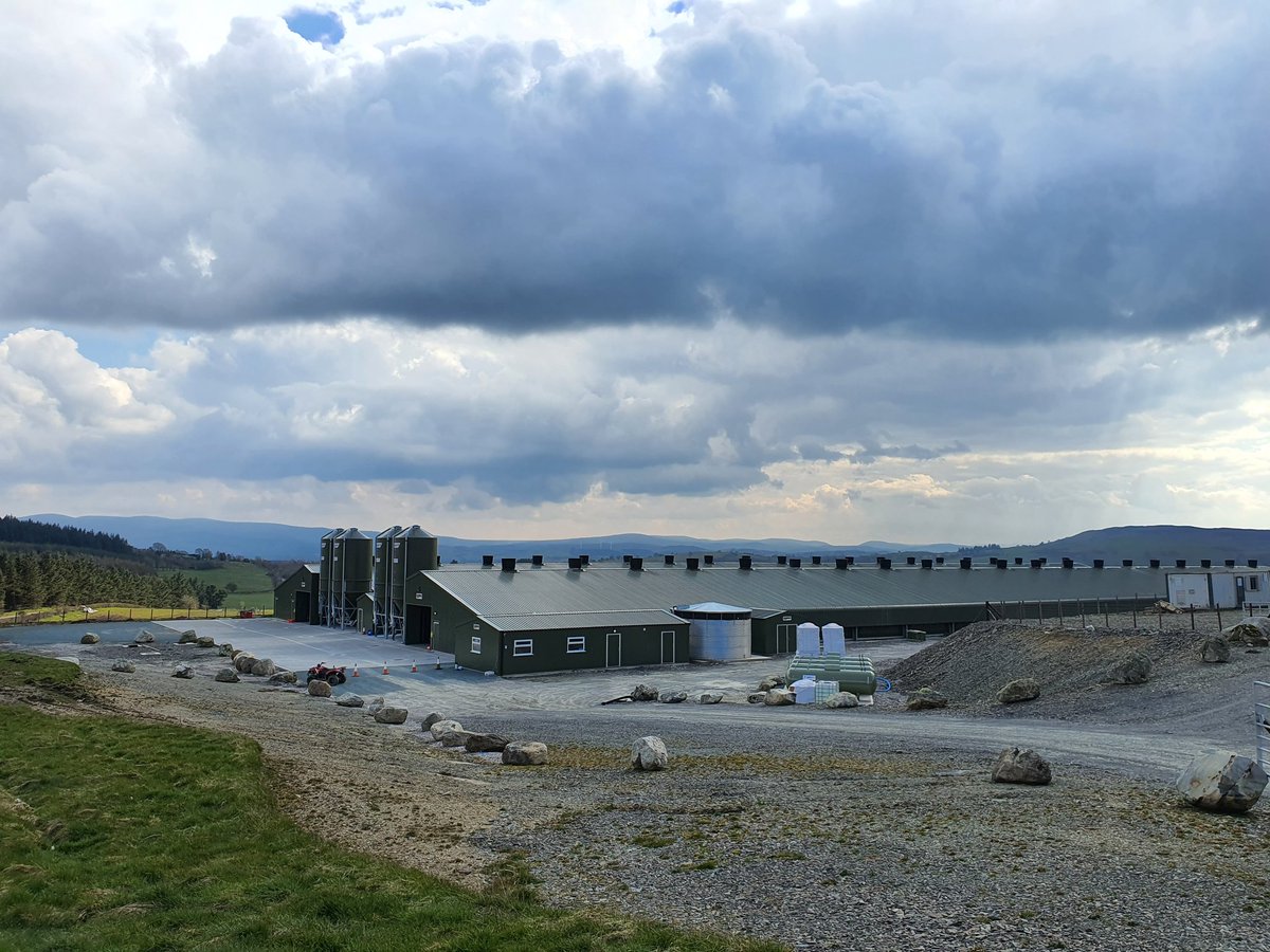 Poultry Care and Support tweet media