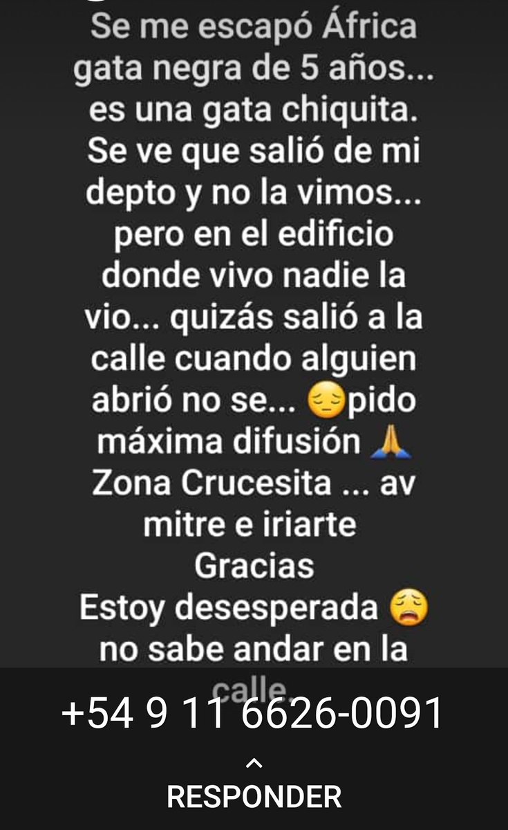 gatitosdeavella's tweet photo. #Atención #Avellaneda, zona de #Crucesita  se perdió Africa en Iriarte y Av.Mitre, 5 años, castrada.
Si la ves comunicate al cel de contacto.
Vecinos del edificio 🙏 estén atentos, quizas este escondida https://t.co/ZTcuU5qGNr