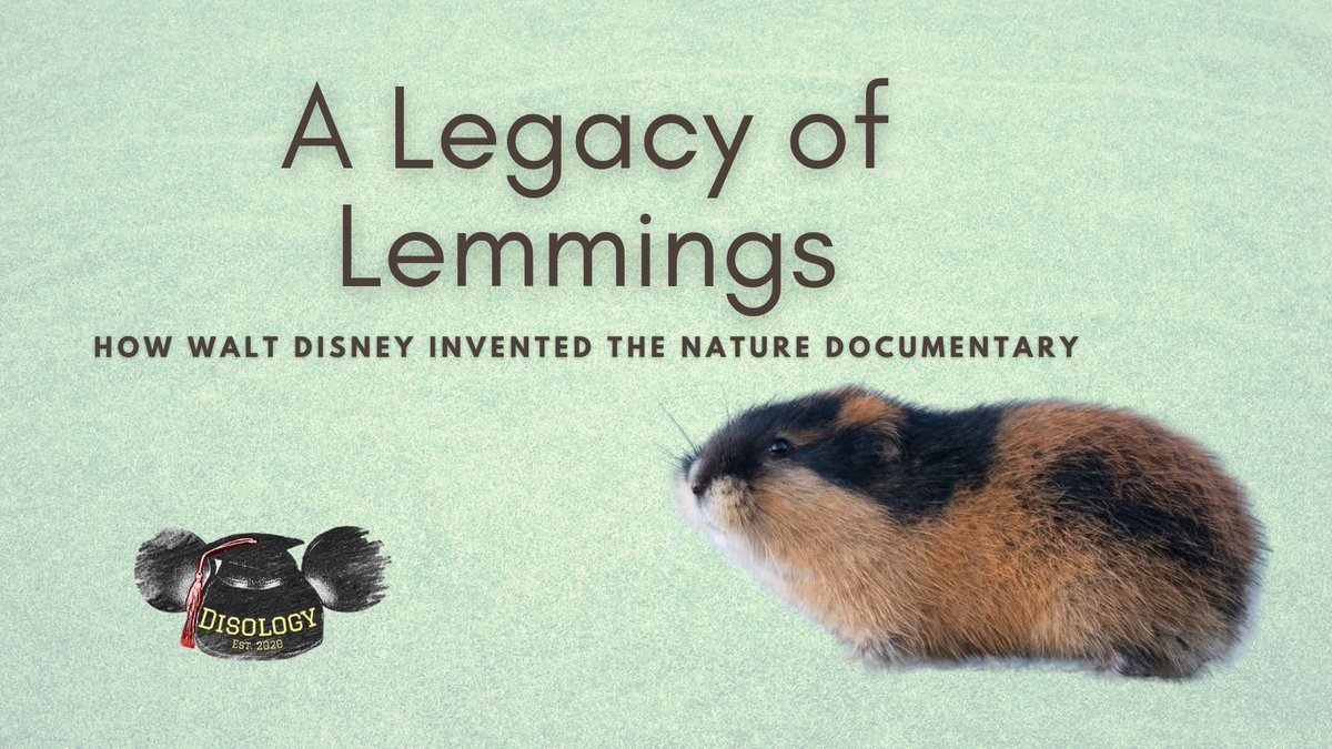 DisologyPodcast's tweet photo. If you've ever binged Planet Earth in one sitting, you have Walt #Disney to thank, for inventing what's known today as the nature documentary with his True Life Adventure series. Listen to our latest episode to learn more! #DisneyNature #DisneyPlus 

https://t.co/ZhgV3Hk5gu https://t.co/UeCXbnseNu