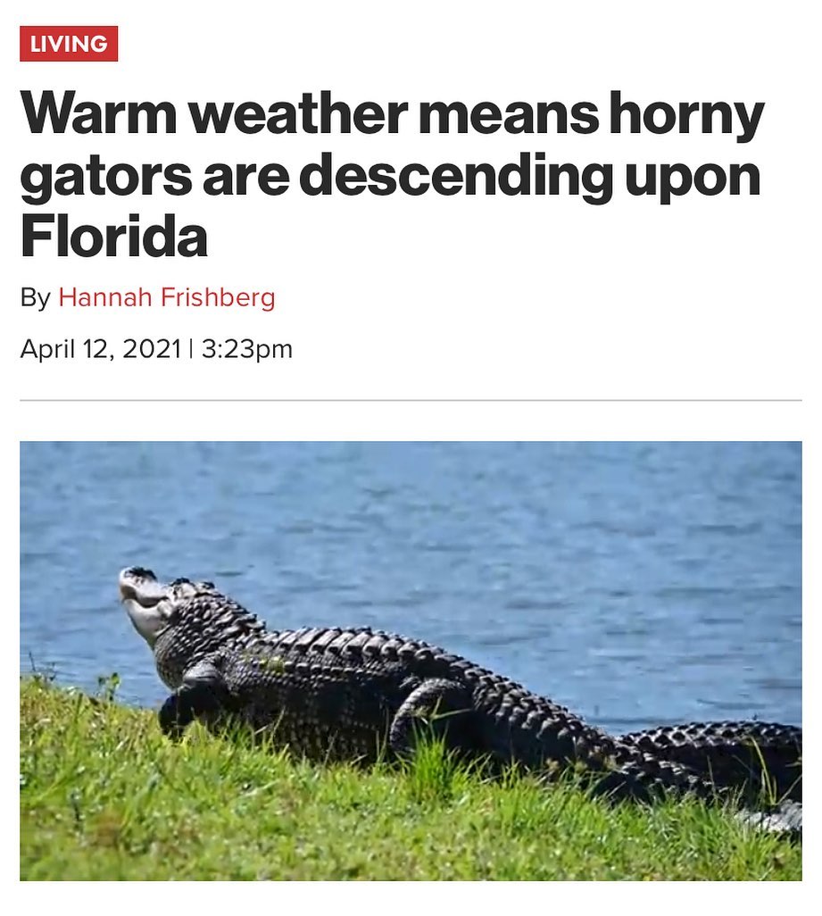 GatorsDaily's tweet image. LETS GOOOOOO