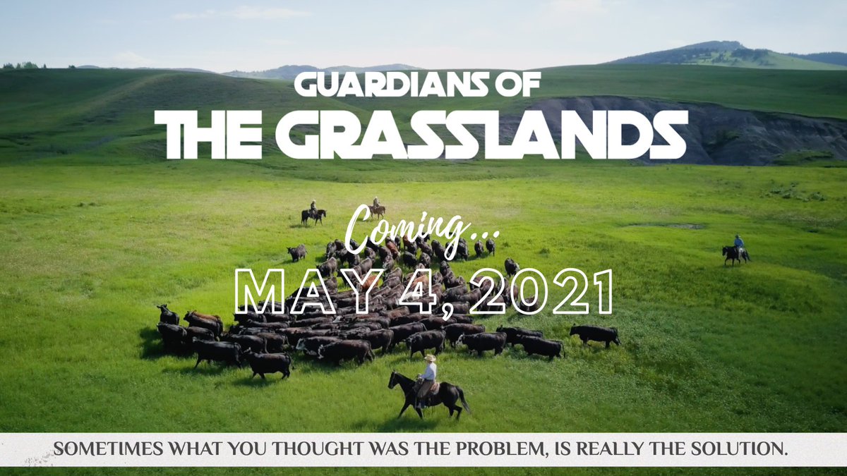 It's happening! Excited to announce that #GuardiansoftheGrasslands has finished it's film festival run and will be launching publicly on May 4, 2021! More details coming soon. 
#ConservationNeedsCattle #CdnAg #Sustainability #Ecofriendly